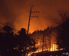 의성 산불에 29채 불타…"오늘 주불 잡는 게 목표"