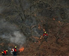 경남 산청 산불로 10명 사상·461명 대피