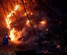 의성 산불 목격자 "성묘객이 헐레벌떡 내려와 도망가길래 붙잡아"