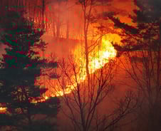 주말 전국 덮친 동시다발 산불…축구장 1만900개 면적 불탔다