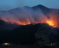 산불에 집 타면 어쩌지?…"창문에 '이것'부터 치워라" 경고