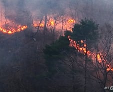 전국 동시다발 산불 인명피해 늘어…'안개·연기' 탓 헬기투입 난항