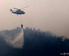 "자연 방화림 '임도' 적어 산불 피해 더 컸다" 전문가들 지적