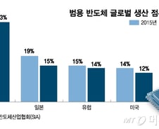 '중국 반도체 때리기' 동맹국 협력 필요하다는 美…한국 생존 전략은