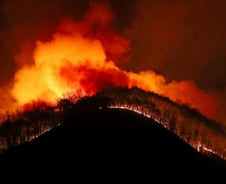 3월마다 반복되는 산불…주요 원인은 '실화'였다