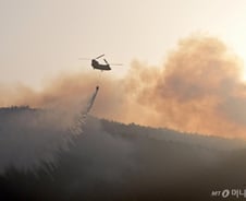 강풍에 밤새 산불영향구역 1.4만ha로 늘어…"범정부 총력 대응"