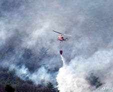 생보·손보협회 사회공헌, 산불 피해 복구 성금 1억원 전달