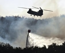 "어떻게 산불 50건이 한꺼번에" 음모론까지…전문가 "드문 일 아냐"