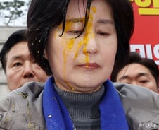 [단독]헌재 앞 계란 테러…野백혜련·박민규 경찰 출석, 고소인 조사