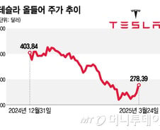 테슬라, 4일간 24% 급등…이번주, 다음주 판매량 발표가 중요[오미주]