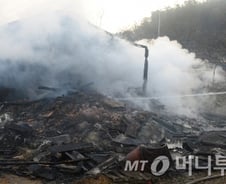 "체력 약한 고령층, 섬망 우려"…숨 막히는 산불 연기, 건강도 '비상'