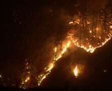'통제불능·예측불허' 괴물 산불 만든 3요인…'찔끔' 봄비, 도움 될까