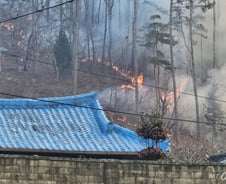 "산불에 보험신청도 쏟아져"…집·창고·축사 보상은 어떻게?