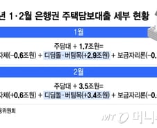 가계부채 불안 키운 정책성 대출… 덕분에 땅 짚고 헤엄친 은행