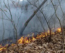 산불지역 비 '찔끔'…화재 진압엔 '역부족'