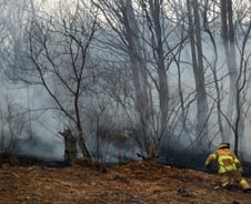 "한동안 비 소식도 없다"…강풍은 계속, 산불 오늘 꼭 잡아야