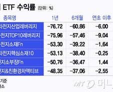 테슬라 후진에 2차전지 ETF도 후진…언제 달릴까?