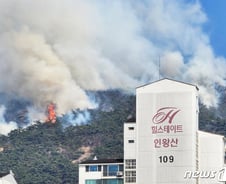 "이게 무슨 난리야" 35곳 동시 산불 '초유의 사태'…또 담배꽁초 '휙'[뉴스속오늘]
