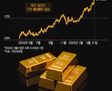 "보관 쉽다" 금값 오르자 이 코인 '껑충'…작년보다 40% 뛰었다