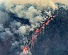 3월 이상하게 덥더라니…경북 삼킨 '괴물 산불' 이유 있었다