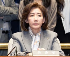 '尹 파면'에 나경원 "비통함 넘어 비장함 다질 때…미래 위해 무장해야"