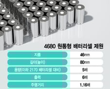 [단독]건설기계에도 '테슬라 심장'…LG엔솔-HD현대 46시리즈 논의