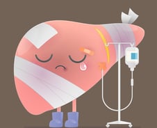 간에 달라붙은 지방, 심혈관도 망가뜨린다고? [한 장으로 보는 건강]