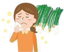 난데없이 알레르기 피부염…며칠 전 염색약 때문이라고?