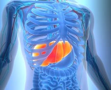 '침묵의 간암' 급증…"배 안 아파도 40대부터 검진받아야" 전문의 경고