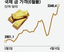 '또 또 최고가' 금값 3600달러 전망도…ETF·ETN도 달린다