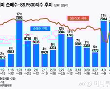 "아직 돈 남았나"…美 증시서 16주 순매수, 테슬라도 계속 산다[서학픽]