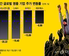 "에르메스 버킨백 200만원" 중국인 원가 폭로(?)…관세전쟁 불똥, 명품주 폭락