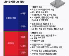 AI 분야에 200조 투자…"응용·시너지 고려해야"