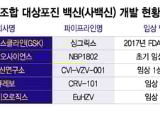 대상포진 백신 시장 재편 가속화…국산 사백신 개발도 속도↑