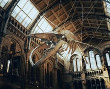 멸종의 시대가 온다. 살아남고 싶은가? [PADO]