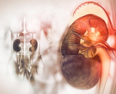 "콩팥 기능 10%도 안 남아"…침묵의 '이 병' 절반, 당뇨병 환자였다