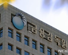 [단독]금감원, '1.1조 유상증자' 포스코퓨처엠 중점심사