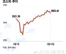 "개미 빼고 던진다" 美 신용등급 하락에 '주르륵'…코스피 조정 시작?
