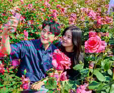 1000만송이 장미 활짝…중랑구, 오는 24일까지 축제