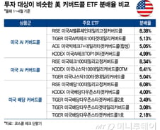 다시 주목받는 美 커버드콜 ETF…올해 누적 분배율 8.38% 상품은?