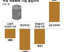'생존' 위한 몸부림 K-화학…"새 정부가  제도개혁 나서야"