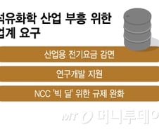 석유화학 살리려면…R&D 지원은 기본, 구조조정 못 피한다