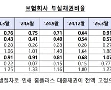 보험사도 '홈플러스' 여파…대기업 부실채권 5배 늘었다
