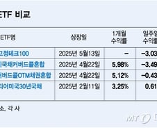 올해 대세 팔란티어ETF 줄상장…4종 수익률 달라 왜?