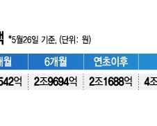 '조기 대선 정책+금리인하 효과' 올해 배당주 펀드에 2조 몰려