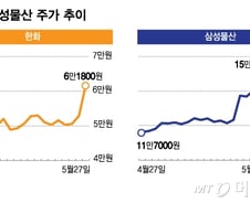 지배구조 개선·배당 확대…쏟아지는 대선 공약에 지주사 주가↑