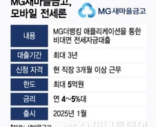 [단독]MG손보 영업정지 불똥, 새마을금고 비대면 전세대출 막혔다