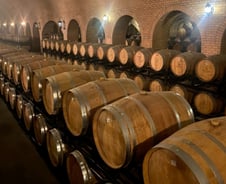 [르포]"앤트 상장 때 따자"던 와인 잠든 곳…아시아 최대 셀러 가보니