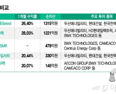美 러브콜에 최고 28% '껑충'…"구성 따라 수익률 희비, 잘 따져봐야"