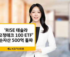 RISE 테슬라 고정테크100 ETF, 순자산 500억 돌파